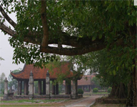 Kiến trúc chùa đẹp bậc nhất Việt Nam