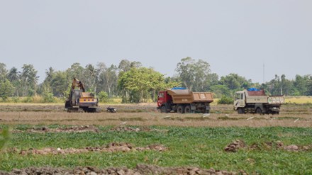 Nông dân vô tư bán hàng ngàn héc ta đất mặt