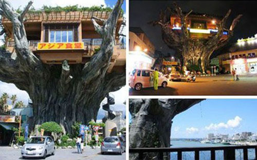 10 kiến trúc nhà hàng độc đáo bậc nhất thế giới